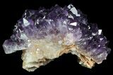 Purple Amethyst Cluster - Uruguay #76711-1